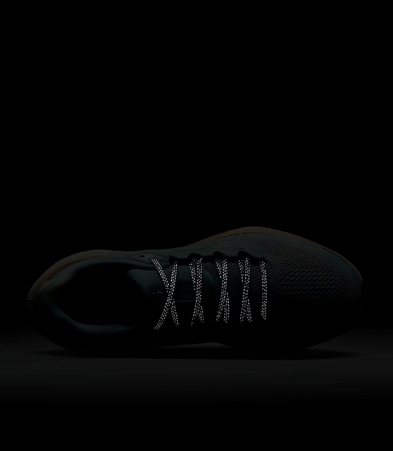 Nike Pegasus 41 for women