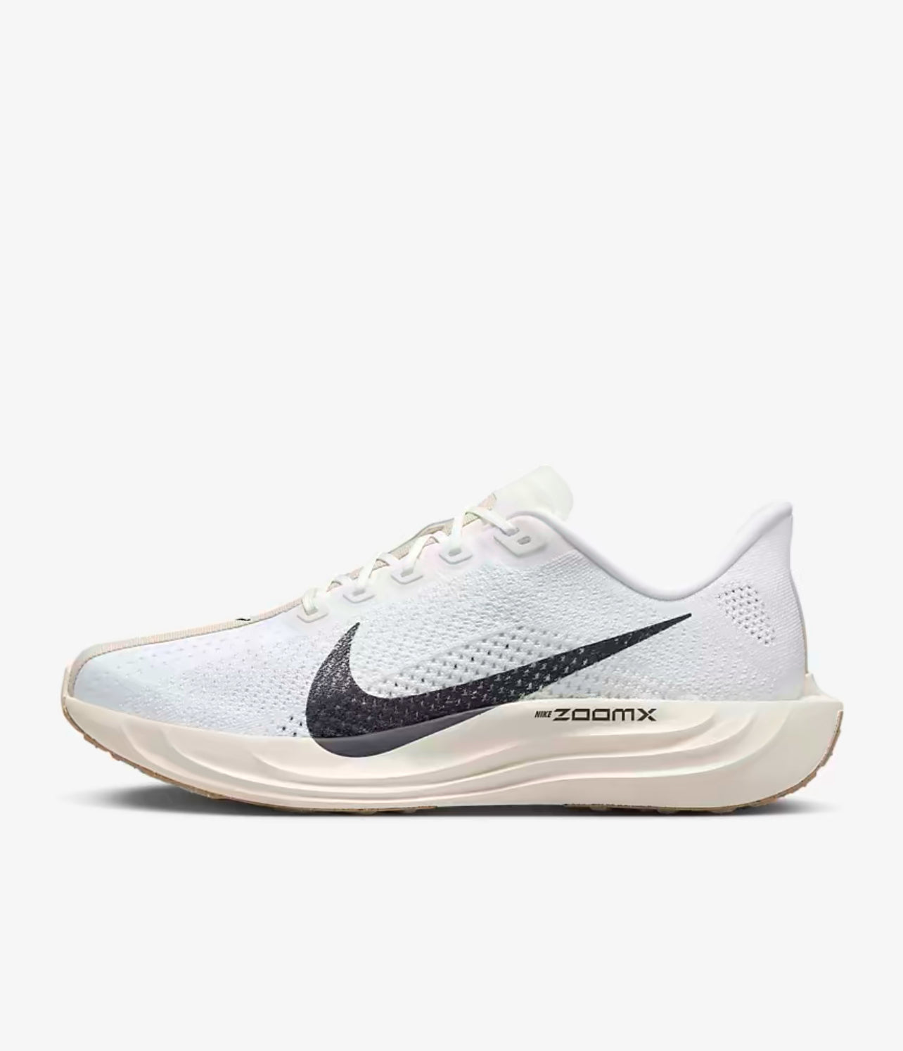 Nike Pegasus Plus for men