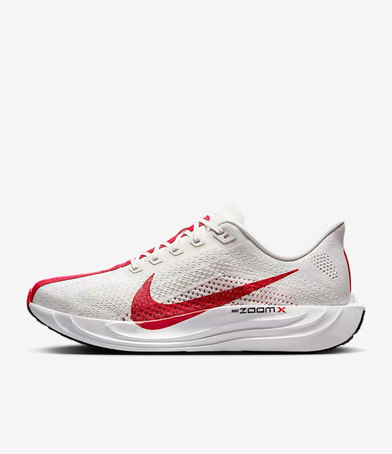 Nike Pegasus Plus for men