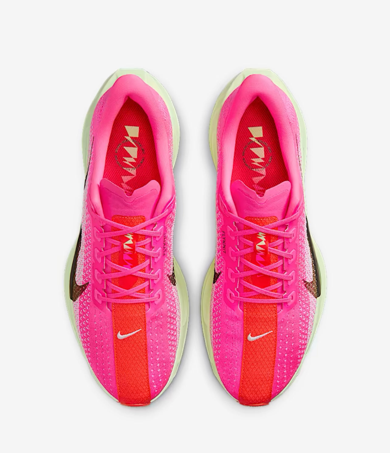 Nike Pegasus Plus for men