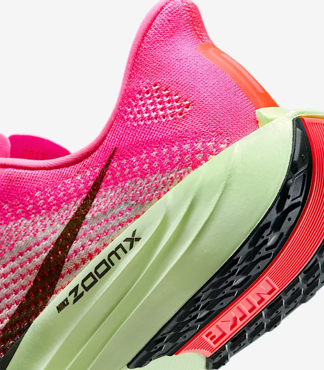 Nike Pegasus Plus for men