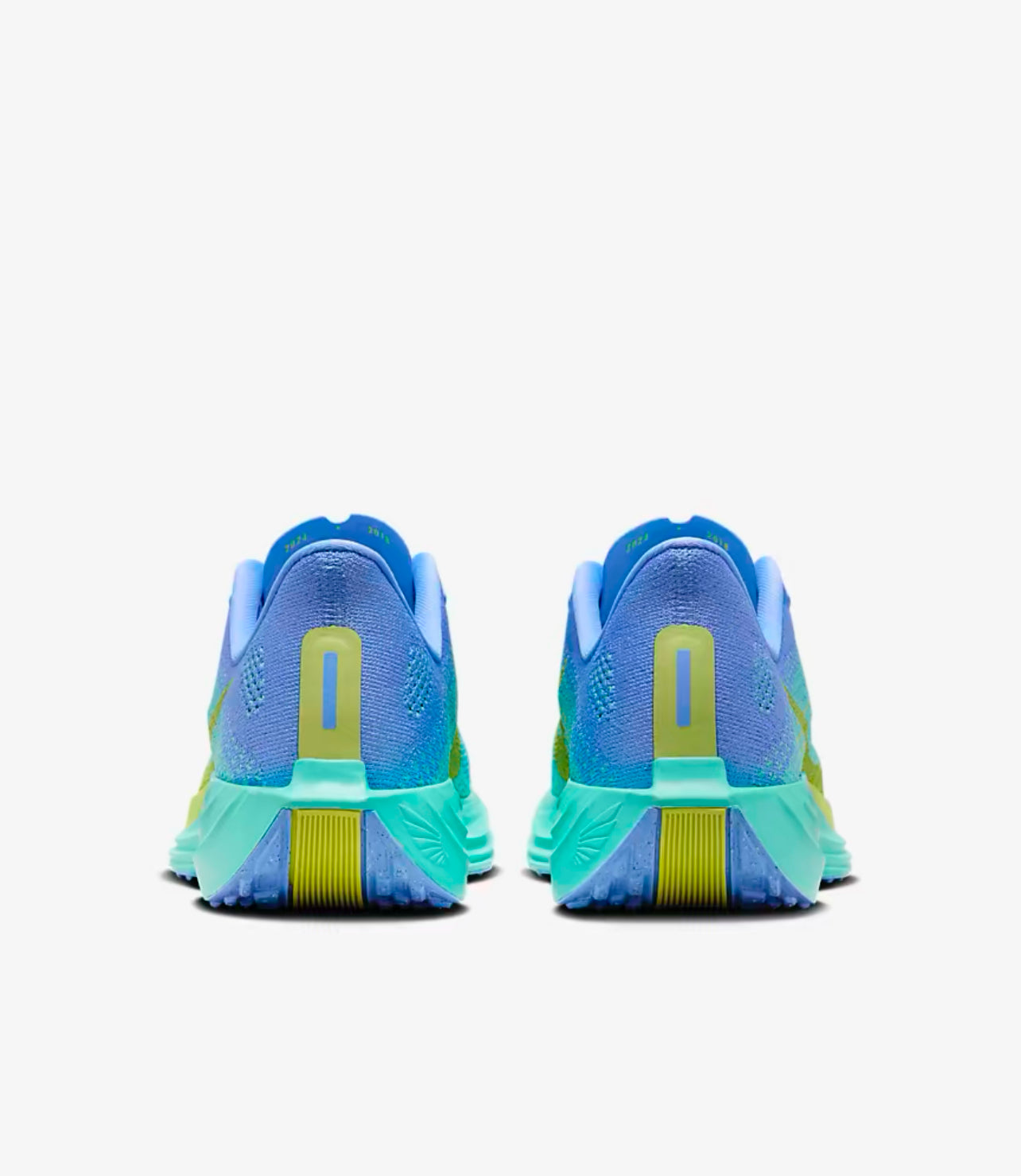 Nike Pegasus Plus for women