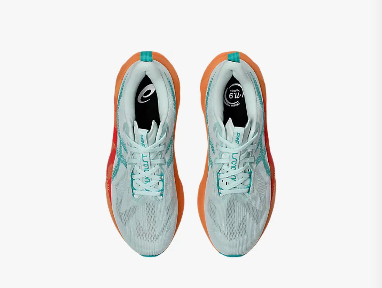 Asics Novablast 5 for men