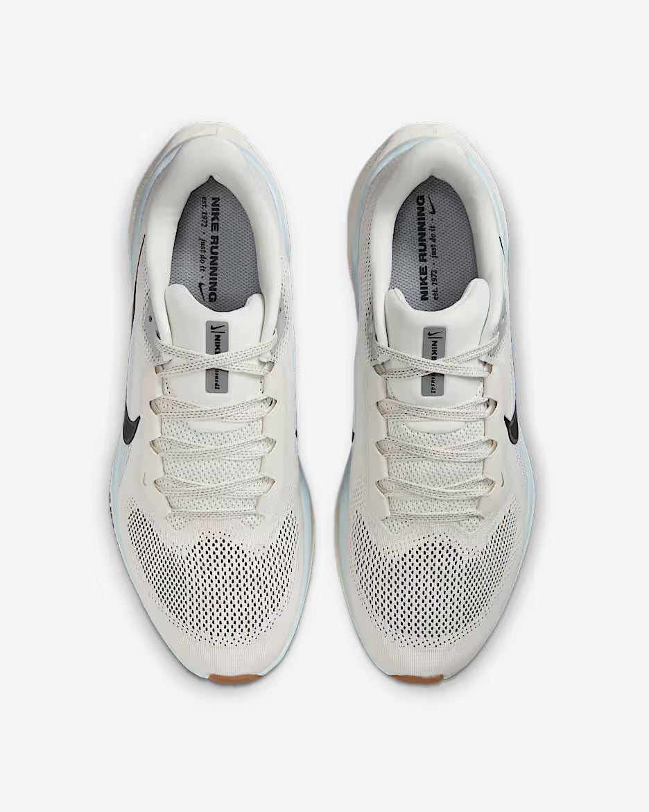 Nike Pegasus 41 for men