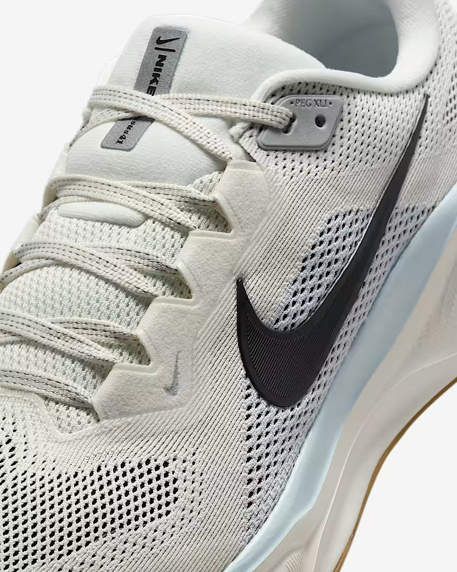 Nike Pegasus 41 for men