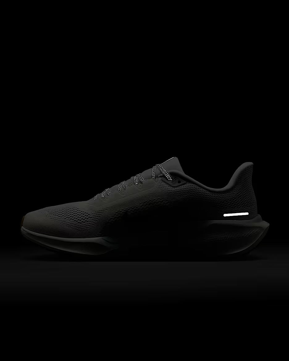 Nike Pegasus 41 for men