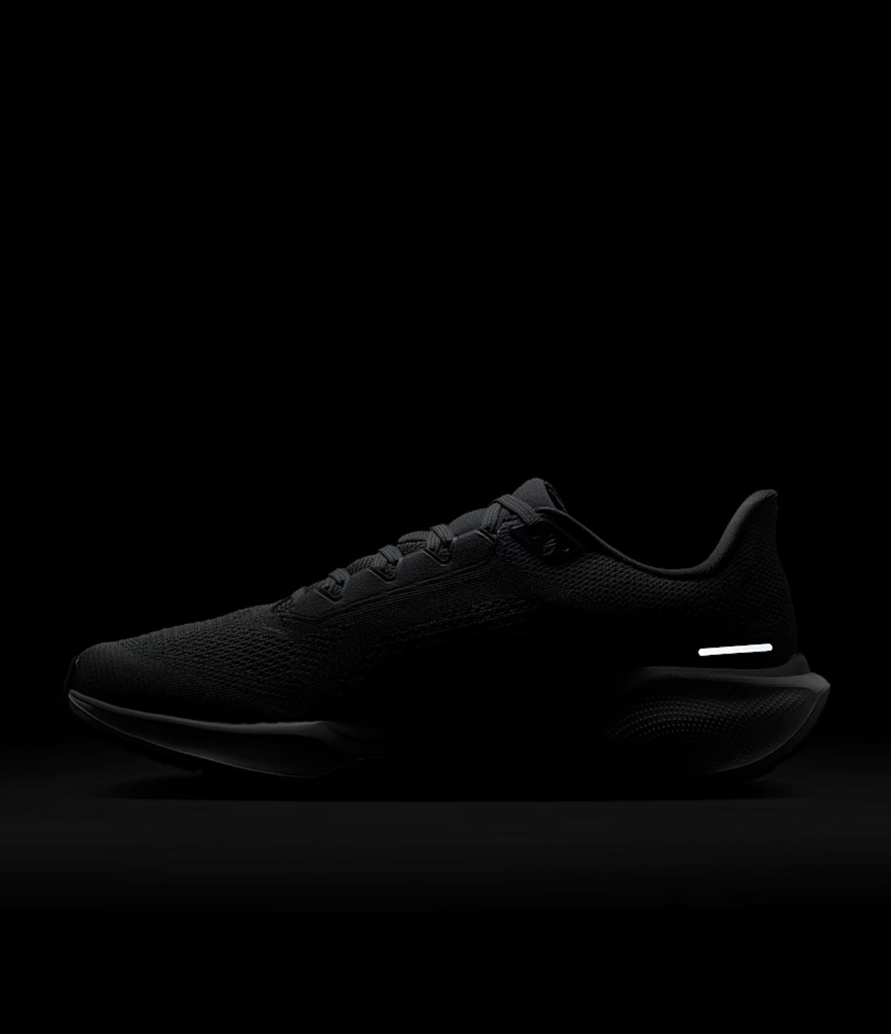 Nike Pegasus 41 para hombre