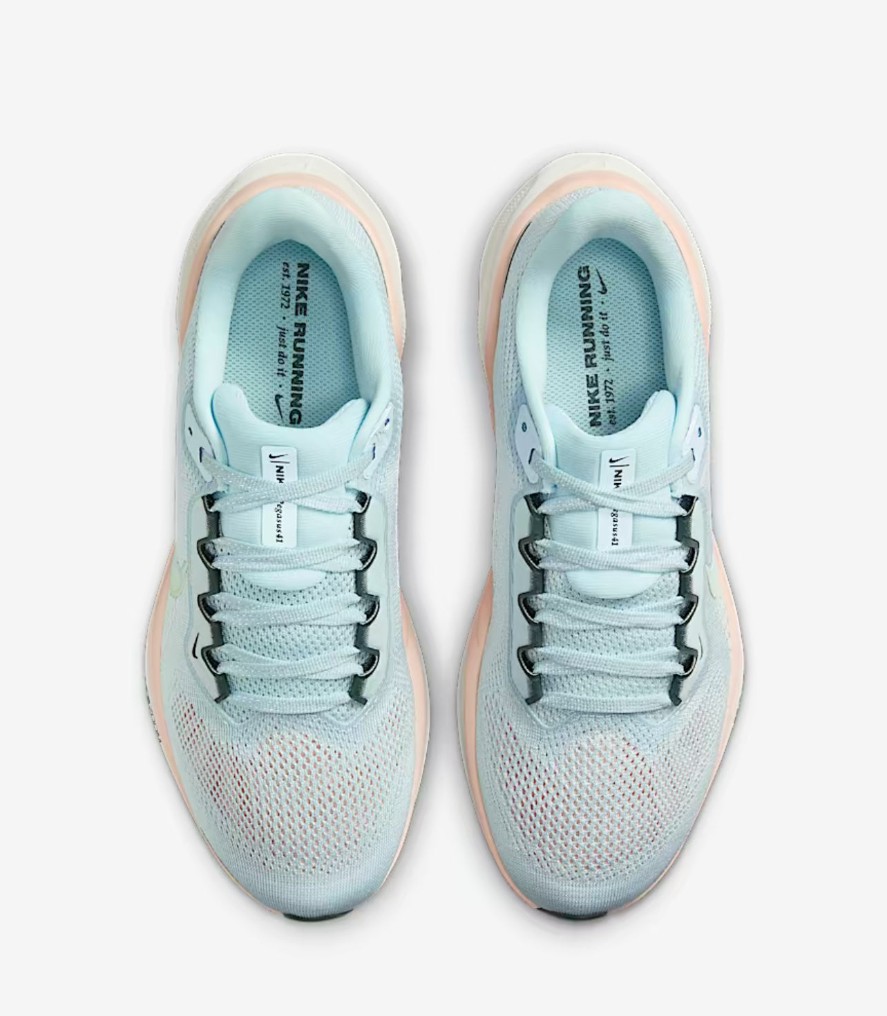 Nike Pegasus 41 for women