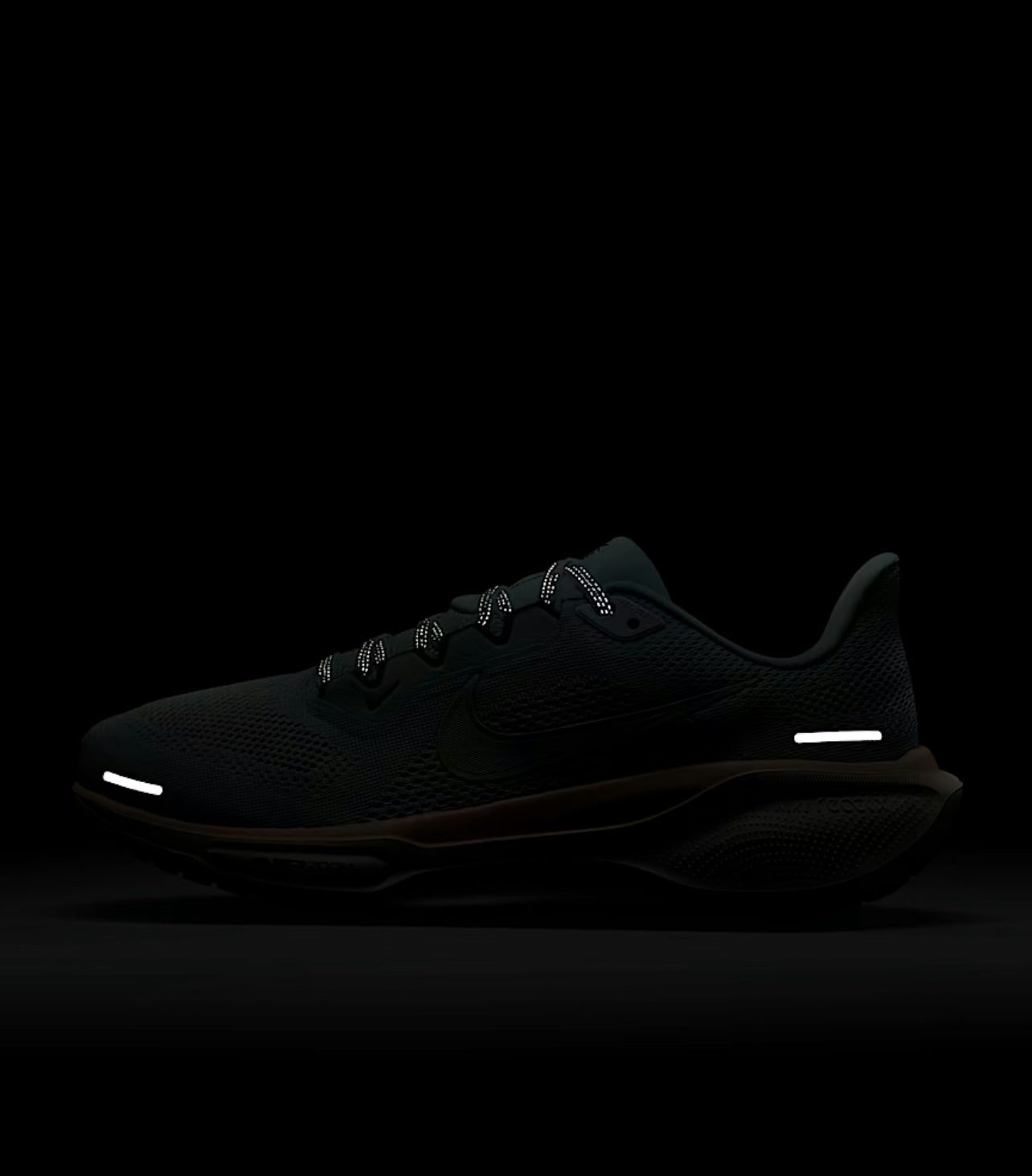 Nike Pegasus 41 for women