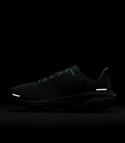 Nike Pegasus 41 for women