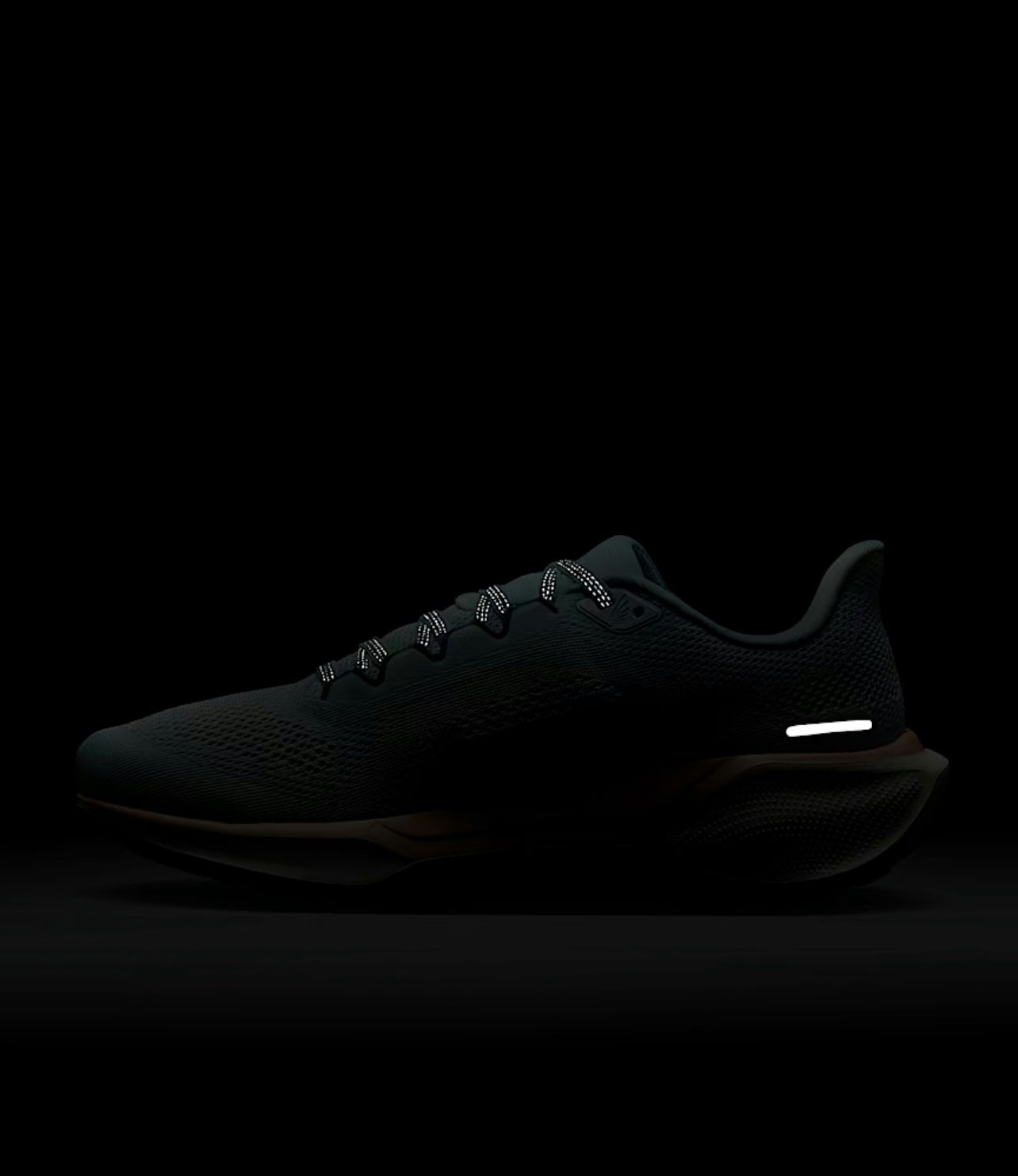Nike Pegasus 41 for women