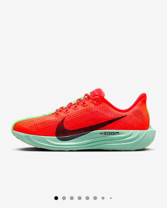 Nike Pegasus Plus for men
