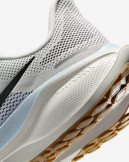 Nike Pegasus 41 for men